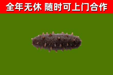 讷河市烟酒回收干海参.jpg